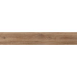 DC004532_ARBARO ORO_19,3x120,2