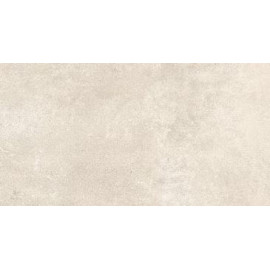 DC005250_GREY MILD_30x60